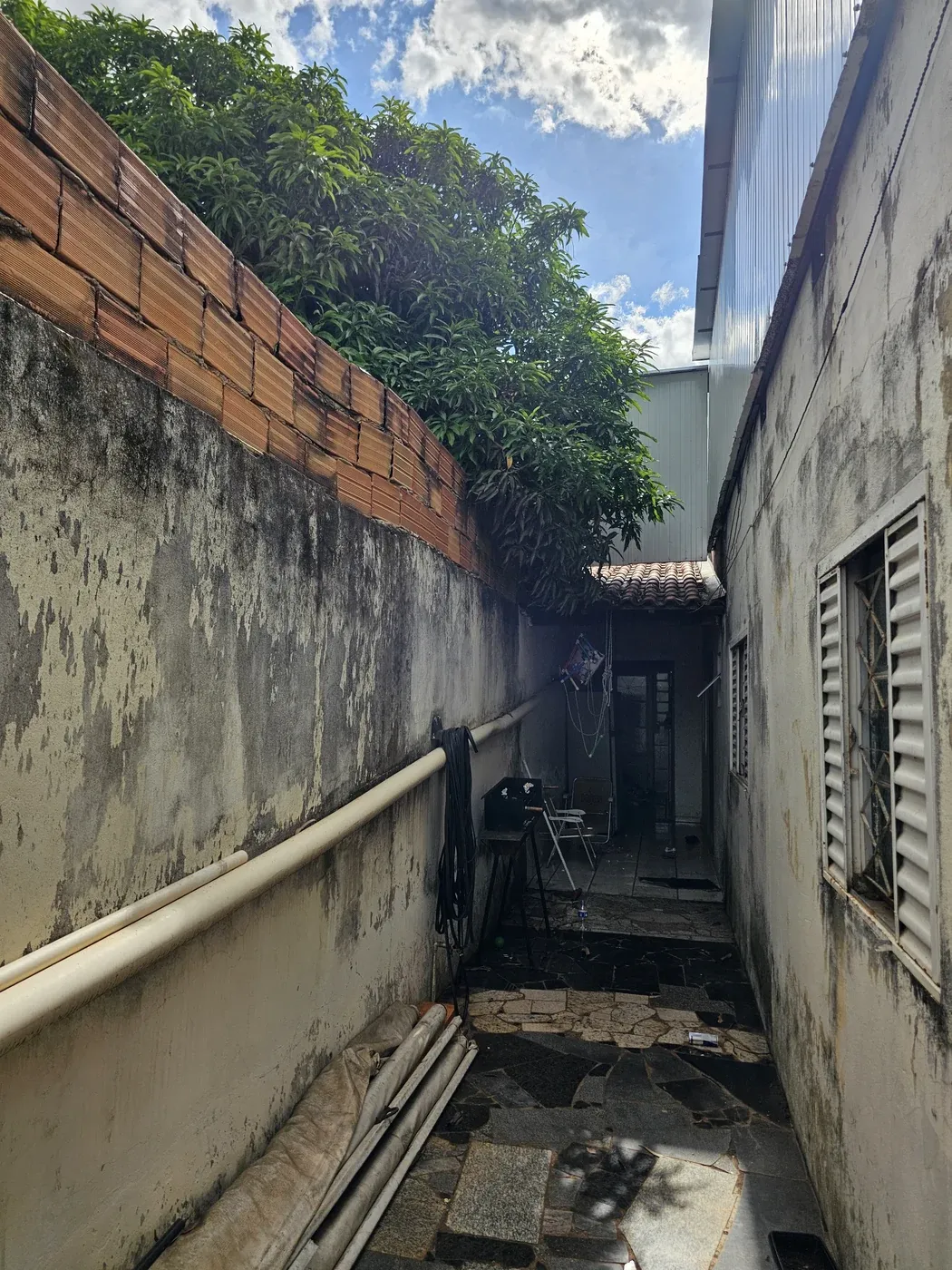 Registro do ambiente e das condições do levantamento, selecionado do acervo deste atendimento.